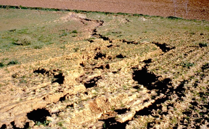 La dégradation des sols dans le monde - http://unt.unice.fr/uoh/degsol/photos/Degsol_Photos_nelle_taille/Lauragais_perte_sol_semences.jpg