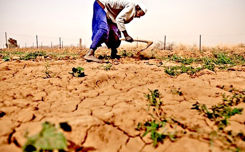 Primes d’assurances sécheresse  au profit de la  Mauritanie, du Niger et du Sénégal